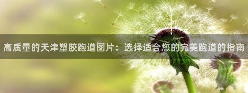 谈球吧平台正规吗可靠吗知乎：高质量的天津塑胶跑道图片：选择适合您的完美跑道的指南