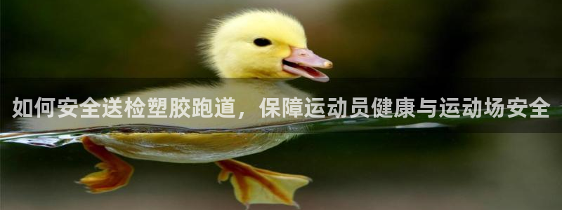 谈球吧平台黑吗?：如何安全送检塑胶跑道，保障运动员健康与运动场安全