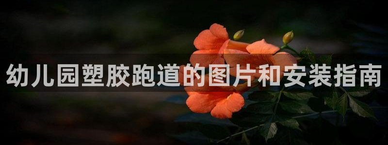 谈球吧App：幼儿园塑胶跑道的图片和安装指南