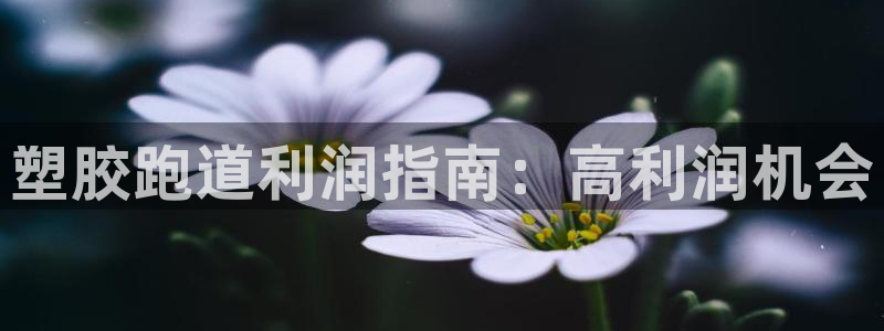 谈球吧APP：塑胶跑道利润指南：高利润机会