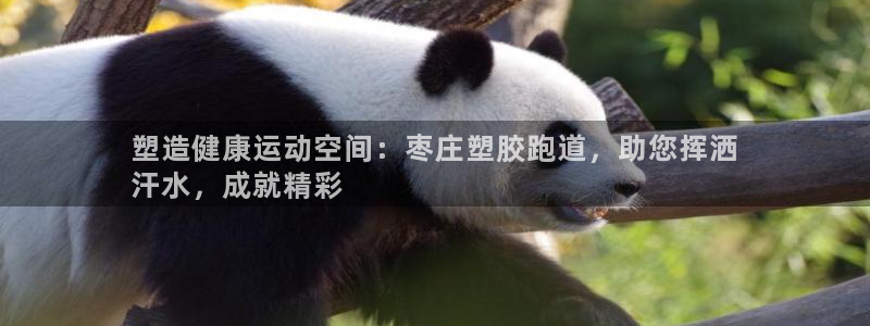 谈球吧官网app：塑造健康运动空间：枣庄塑胶跑道，助