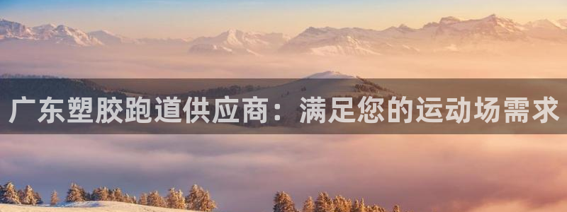 谈球吧在线登陆：广东塑胶跑道供应商：满足您的运动场需求