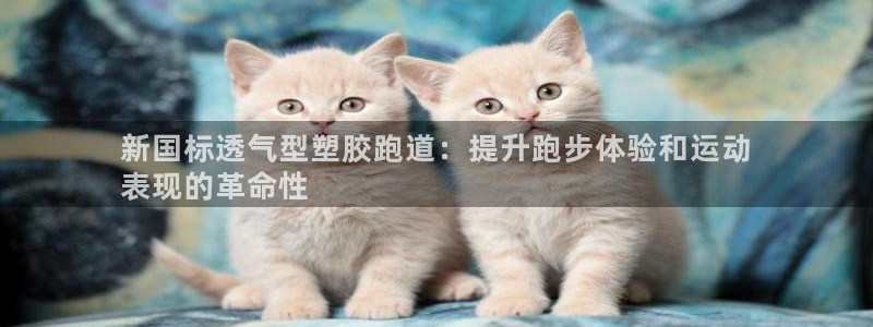 谈球吧平台app下载网址是多少：新国标透气型塑胶跑道