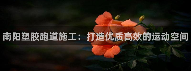 谈球吧与普通平台对比