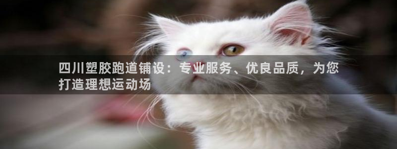 谈球吧官网在线入口网址：四川塑胶跑道铺设：专业服务、优良品质，为您
打造理想运动场