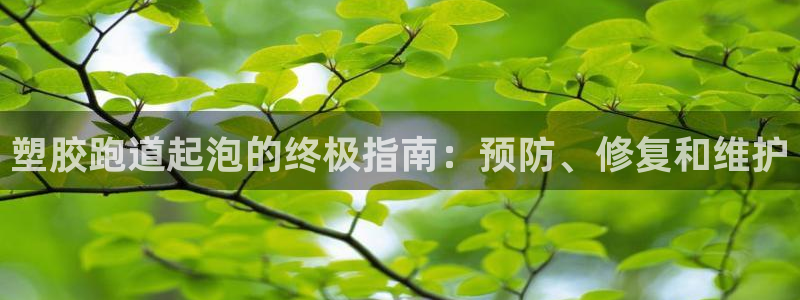 谈球吧体育app官网下载：塑胶跑道起泡的终极指南：预