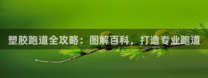 谈球吧app官网下载：塑胶跑道全攻略：图解百科，打造专业跑道
