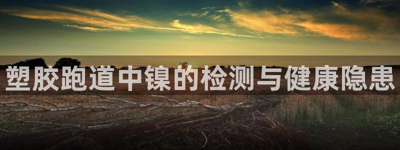 谈球吧app官网：塑胶跑道中镍的检测与健康隐患