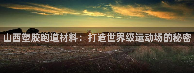 谈球吧平台正规吗可信吗：山西塑胶跑道材料：打造世界级运动场的秘密
