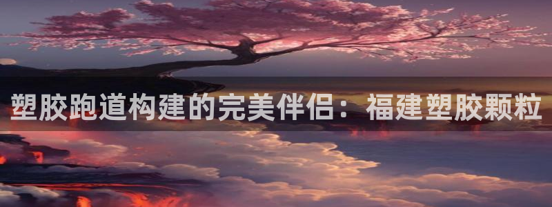 谈球吧入口：塑胶跑道构建的完美伴侣：福建塑胶颗粒