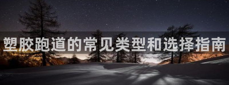 谈球吧是黑台子吗还是白台子：塑胶跑道的常见类型和选择指南