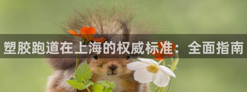 谈球吧属于哪个旗下：塑胶跑道在上海的权威标准：全面指南