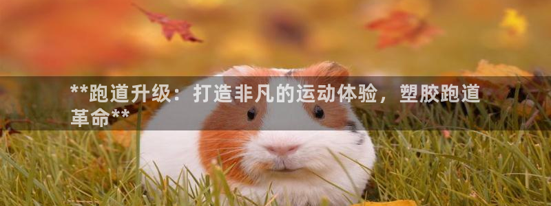 谈球吧网页登陆：**跑道升级：打造非凡的运动体验，塑胶跑道
革命**