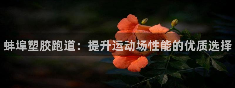 谈球吧的聊天软件有哪些：蚌埠塑胶跑道：提升运动场性能的优质选择
