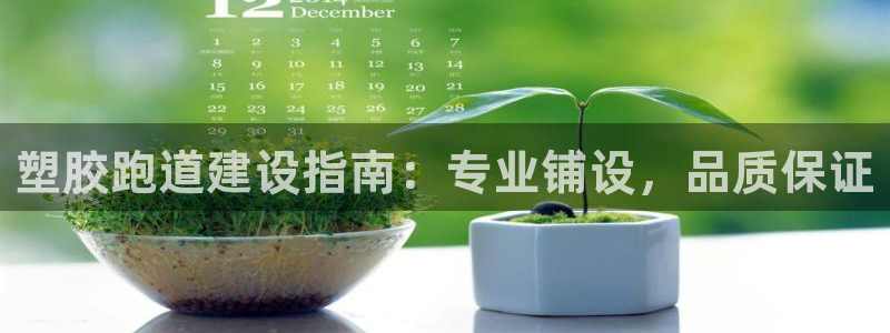 谈球吧言网入口：塑胶跑道建设指南：专业铺设，品质保证
