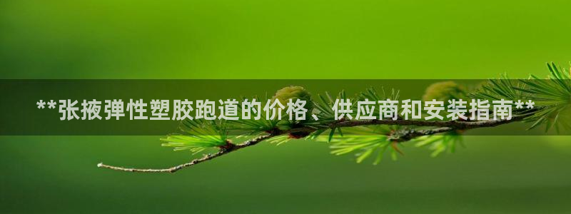 谈球吧体育app登陆不上：**张掖弹性塑胶跑道的价格