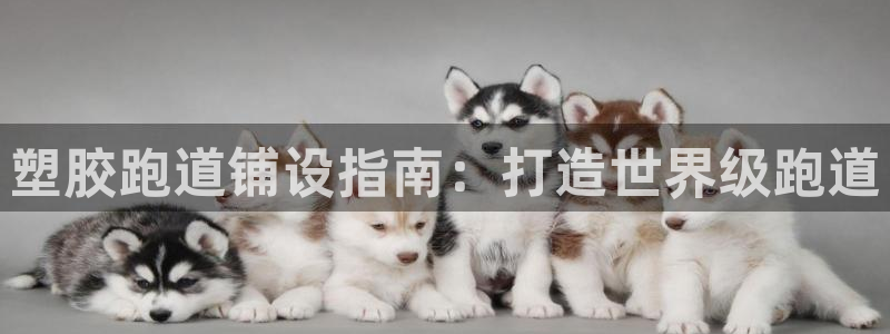 谈球吧平台正规吗可信吗知乎：塑胶跑道铺设指南：打造世界级跑道