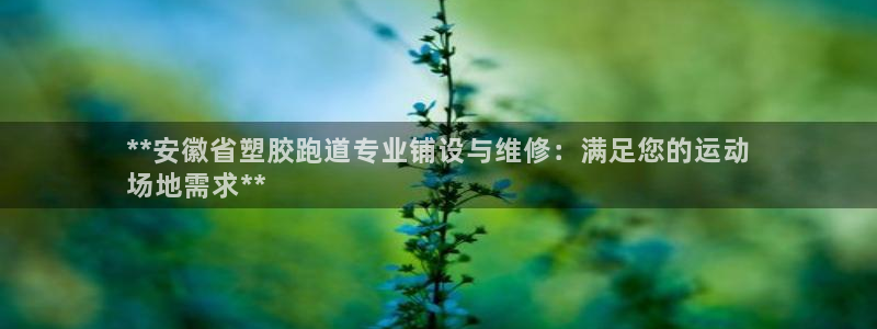 谈球吧官网在线入口手机版下载安装：**安徽省塑胶跑道专业铺设与维修：满足您的运动
场地需求**