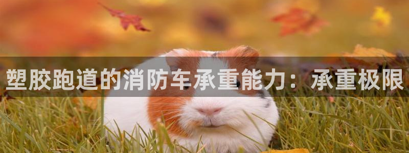 谈球吧app官方下载：塑胶跑道的消防车承重能力：承重极限