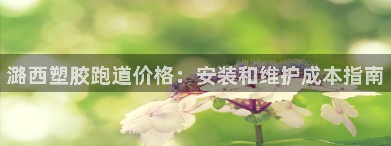 谈球吧App：潞西塑胶跑道价格：安装和维护成本指南