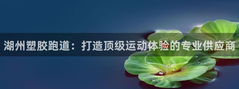 谈球吧app体育下载：湖州塑胶跑道：打造顶级运动体验的专业供应商