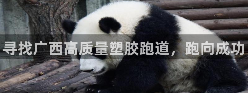 谈球吧app赛事分析报告：寻找广西高质量塑胶跑道，跑