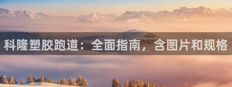 谈球吧官网在线入口免费观看视频网站：科隆塑胶跑道：全面指南，含图片和规格