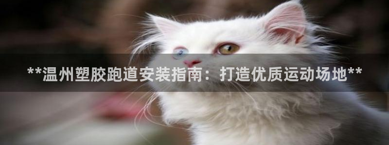 谈球吧在线：**温州塑胶跑道安装指南：打造优质运动场