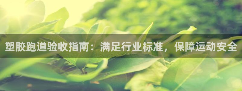 谈球吧app官网下载：塑胶跑道验收指南：满足行业标准