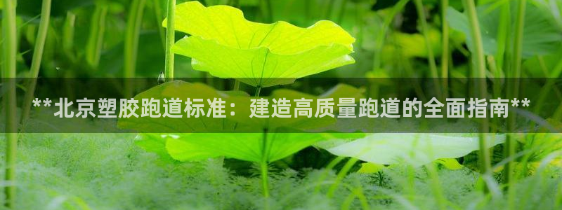 谈球吧官网入口在线观看：**北京塑胶跑道标准：建造高质量跑道的全面指南**