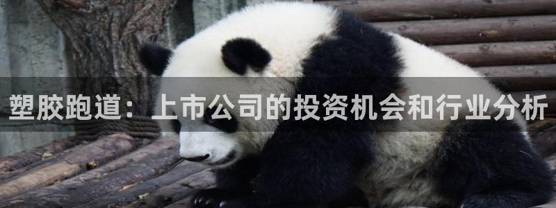 谈球吧的聊天软件是什么：塑胶跑道：上市公司的投资机会和行业分析