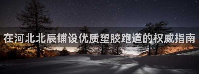 谈球吧登录：在河北北辰铺设优质塑胶跑道的权威指南