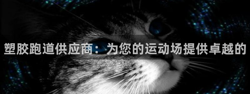 谈球吧能提现不：塑胶跑道供应商：为您的运动场提供卓越的