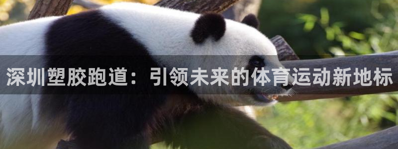 谈球吧不出款