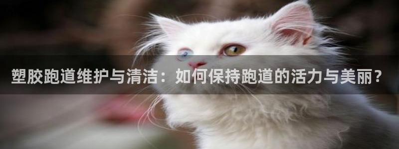 谈球吧黑款不