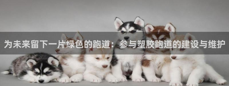 谈球吧官网在线入口免费观看视频