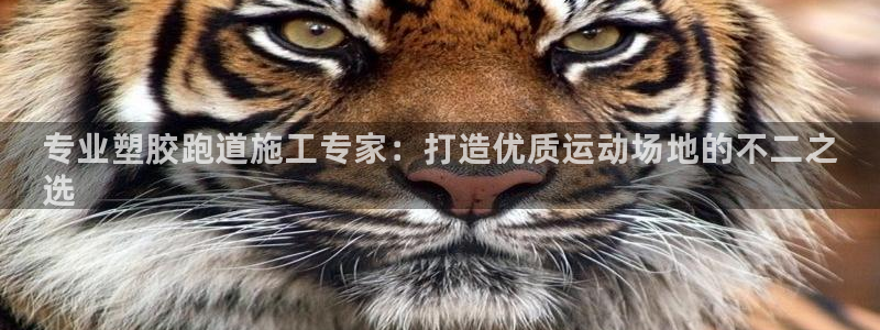 谈球吧官网在线入口网址：专业塑胶跑道施工专家：打造优