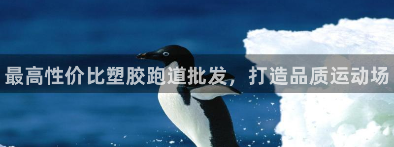 谈球吧怎么样?：最高性价比塑胶跑道批发，打造品质运动场