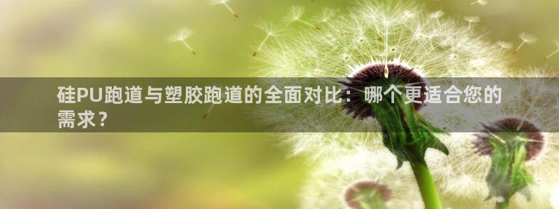 谈球吧官网在线入口手机版免费观看：硅PU跑道与塑胶跑