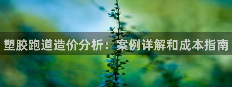 谈球吧官网在线入口免费观看高清：塑胶跑道造价分析：案例详解和