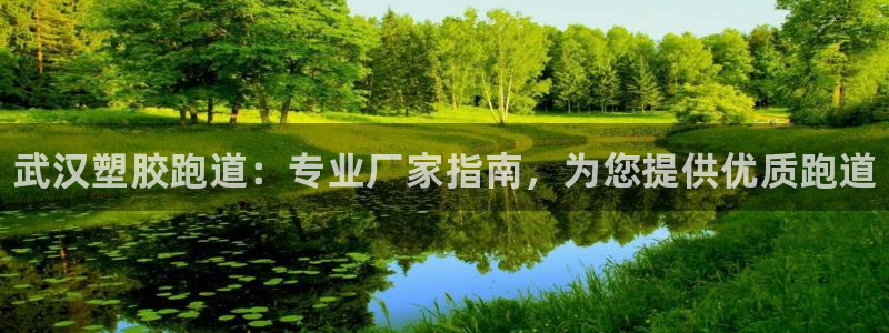 谈球吧体育app下载官网：武汉塑胶跑道：专业厂家指南，为您提