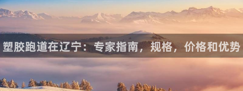 谈球吧官网在线入口手机版下载：塑胶跑道在辽宁：专家指南，规格