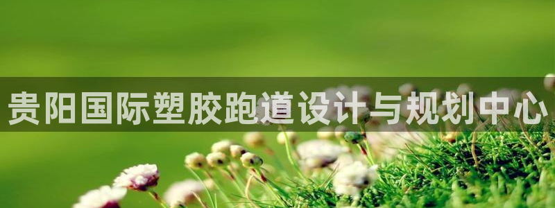 谈球吧与普通平台对比