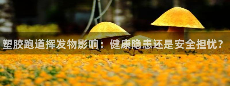 谈球吧app下载安装