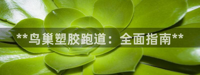 谈球吧体育app下载：**鸟巢塑胶跑道：全面指南**