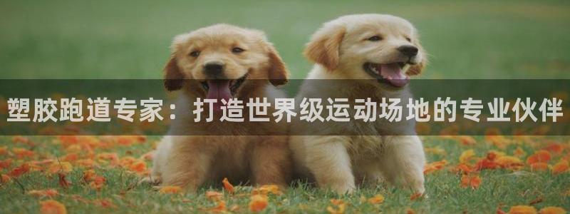 谈球吧体育app登陆入口：塑胶跑道专家：打造世界级运动场地的